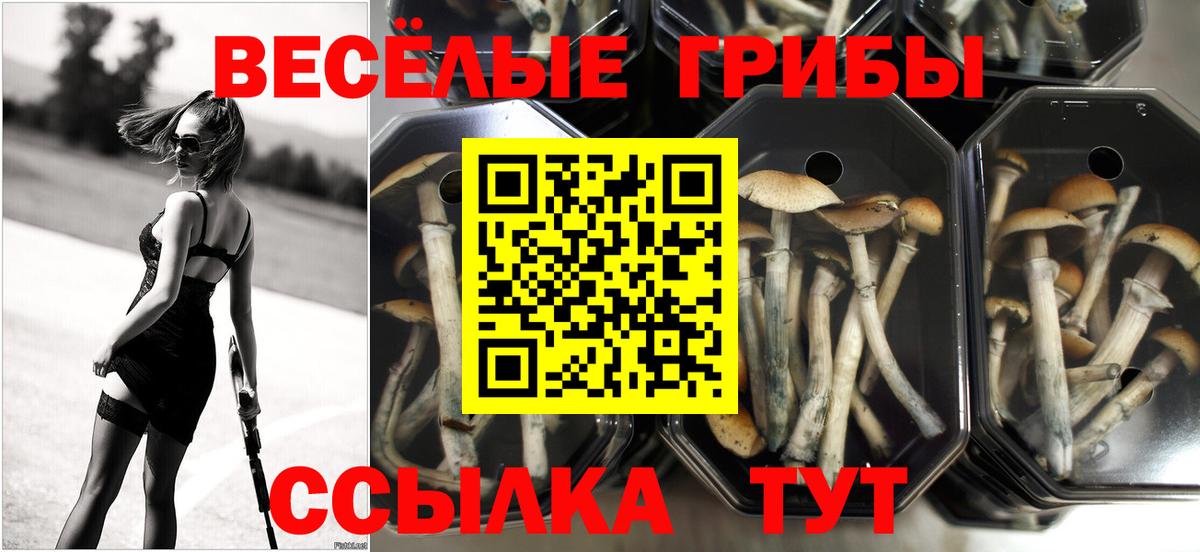 Псилоцибиновые грибы ЛСД Нижнекамск