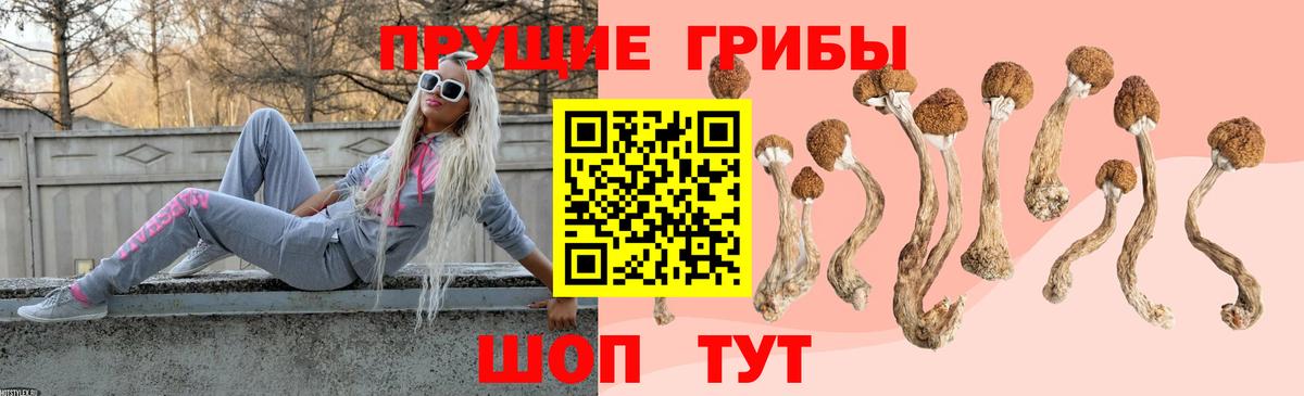 Нижнекамск  Псилоцибиновые грибы GOLDEN TEACHER  Вход с VPN 